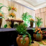 Plant Rental - Blogz.my