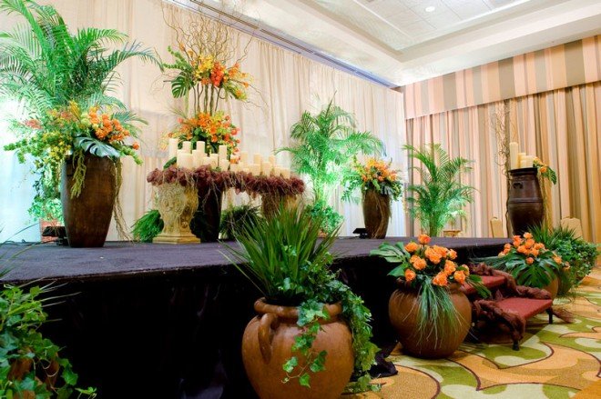 Decorative Garden – Plant Rental and Landscape Architect