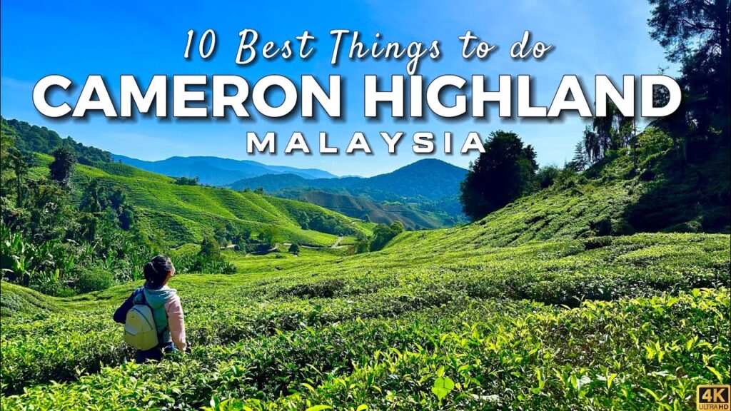 Top 10 Attractions in Cameron Highlands