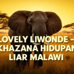 Lovely Liwonde - khazanah hidupan liar Malawi