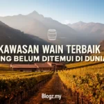 Kawasan wain terbaik yang belum ditemui di dunia