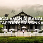 Pengalaman Di Banglo Stafford, Sri Lanka