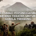 5 rumah persinggahan mewah teratas untuk gorila trekking