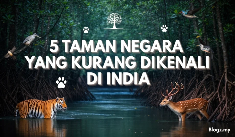 5 taman negara yang kurang dikenali di India