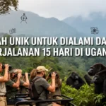 Kisah unik untuk dialami dalam perjalanan 15 hari di Uganda