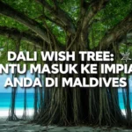 Dali Wish Tree: Pintu masuk ke impian anda di Maldives
