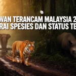 Haiwan Terancam Malaysia 2026: Senarai Spesies dan Status Terkini