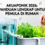 Akuaponik 2026: Panduan Lengkap untuk Pemula di Rumah