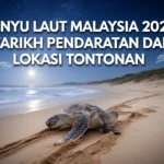 Penyu Laut Malaysia 2026: Tarikh Pendaratan dan Lokasi Tontonan