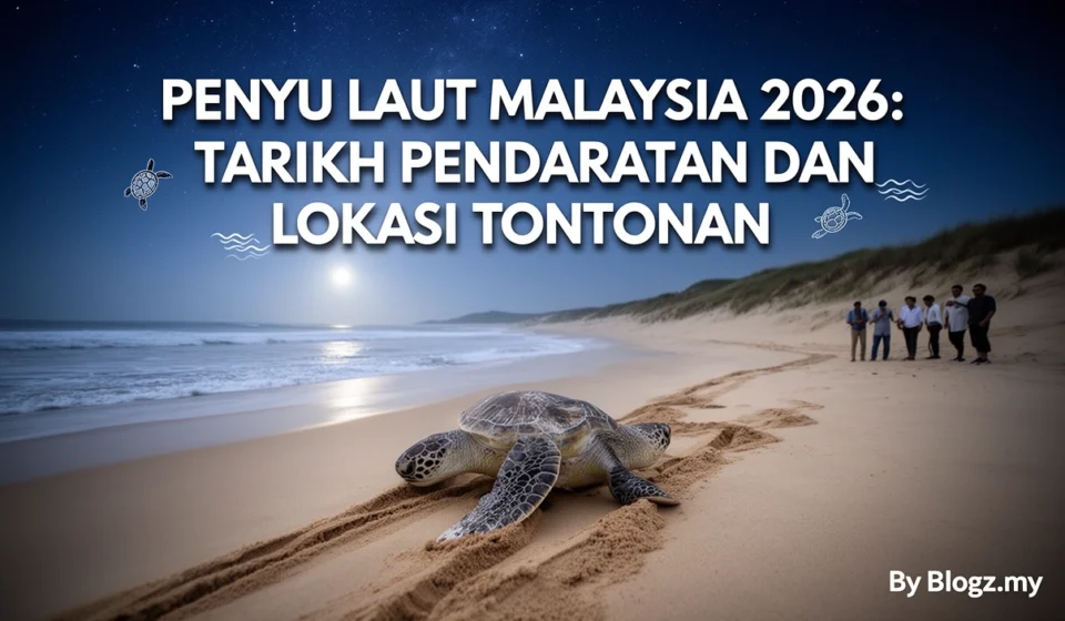 Penyu Laut Malaysia 2026: Tarikh Pendaratan dan Lokasi Tontonan