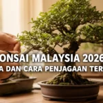 Bonsai Malaysia 2026: Harga dan Cara Penjagaan Terkini