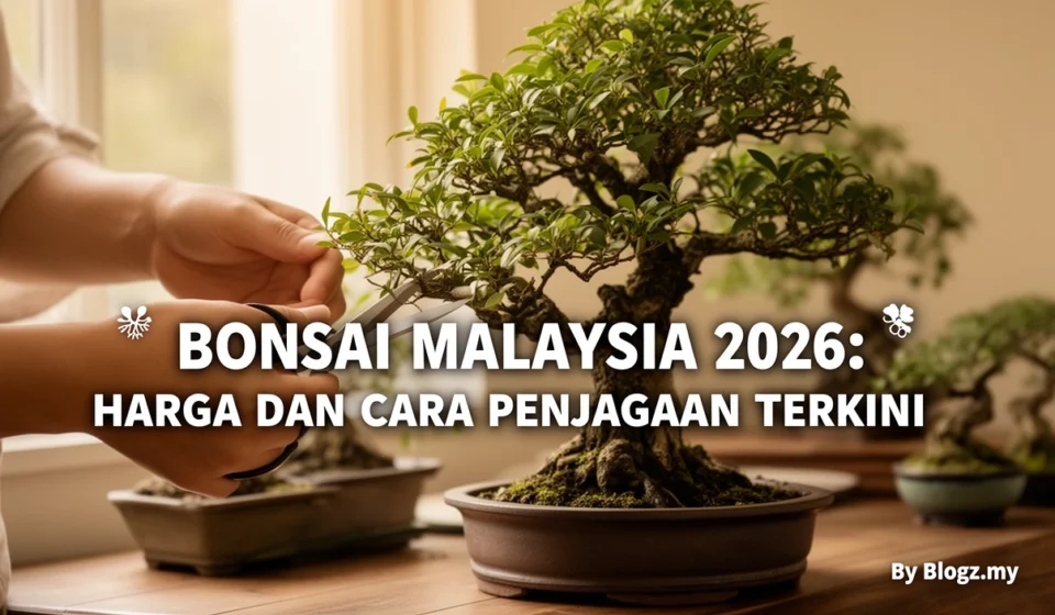 Bonsai Malaysia 2026: Harga dan Cara Penjagaan Terkini