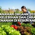 Tanaman Organik 2026: Kelebihan dan Cara Menanam di Kebun Anda