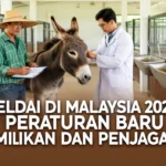 Keldai di Malaysia 2026: Peraturan Baru Pemilikan dan Penjagaan