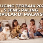 Kucing Terbaik 2026: 5 Jenis Paling Popular di Malaysia