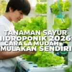 Tanaman Sayur Hidroponik 2026: Cara Mudah Mulakan Sendiri