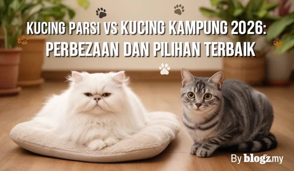 Kucing Parsi vs Kucing Kampung 2026: Perbezaan dan Pilihan Terbaik